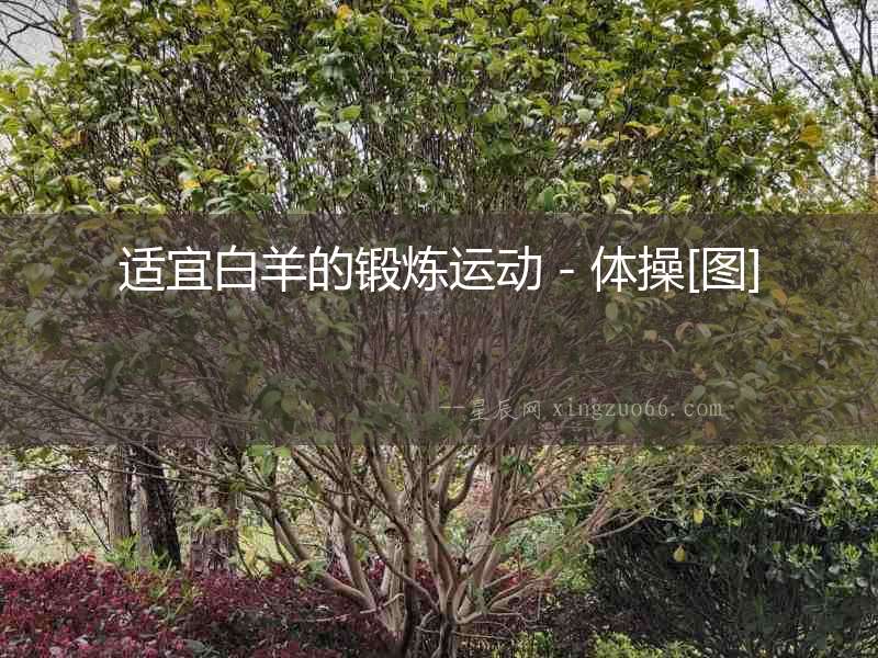 適宜白羊的鍛煉運動－體操[圖]