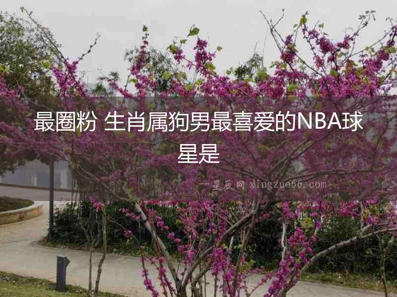 最圈粉 生肖屬狗男最喜愛的NBA球星是