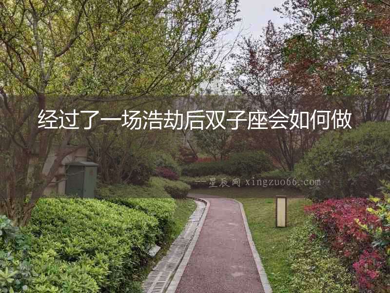 經(jīng)過(guò)了一場(chǎng)浩劫后雙子座會(huì)如何做
