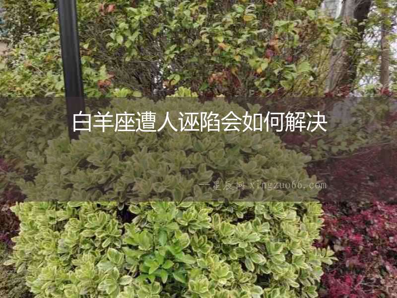 白羊座遭人誣陷會(huì)如何解決