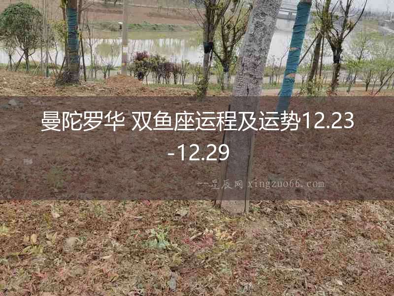 曼陀羅華 雙魚座運(yùn)程及運(yùn)勢12.23-12.29