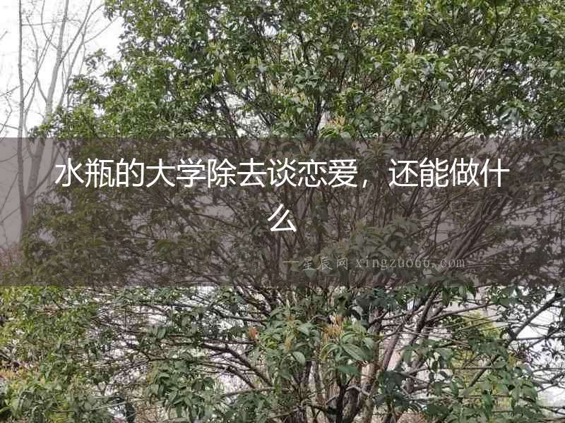 水瓶的大學除去談戀愛，還能做什么