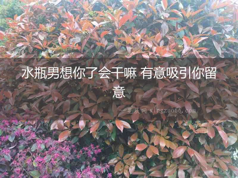 水瓶男想你了會干嘛 有意吸引你留意