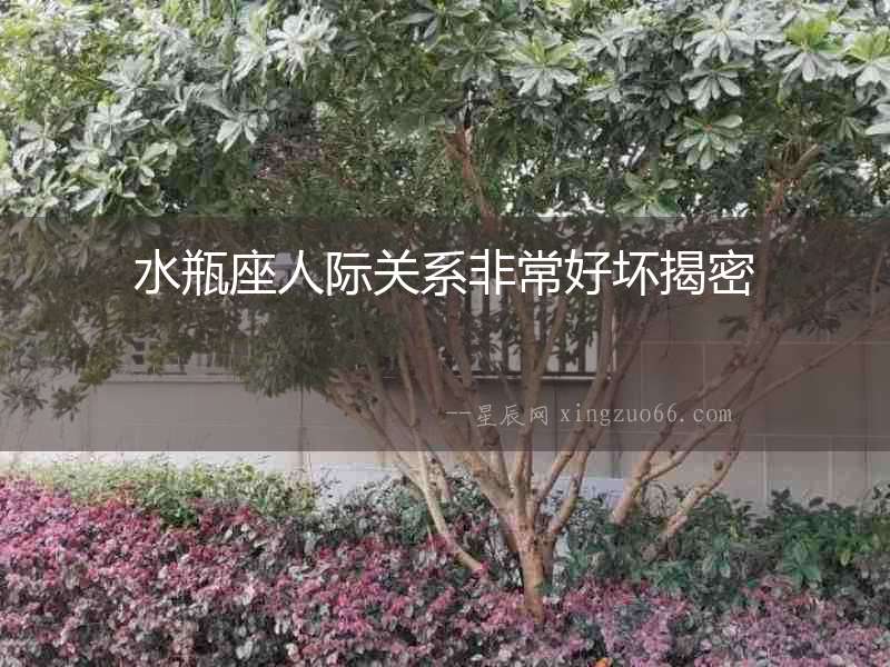 水瓶座人際關系非常好壞揭密