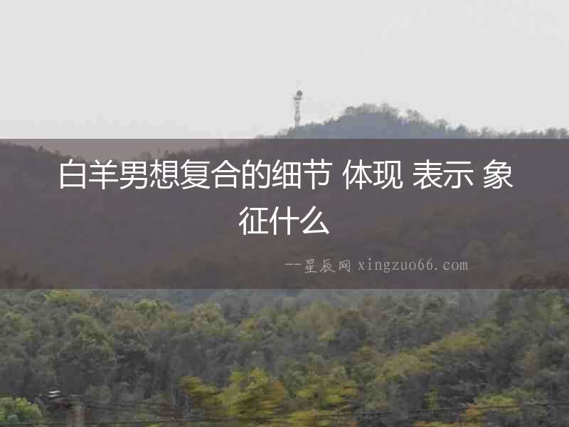 白羊男想復合的細節 體現 表示 象征什么