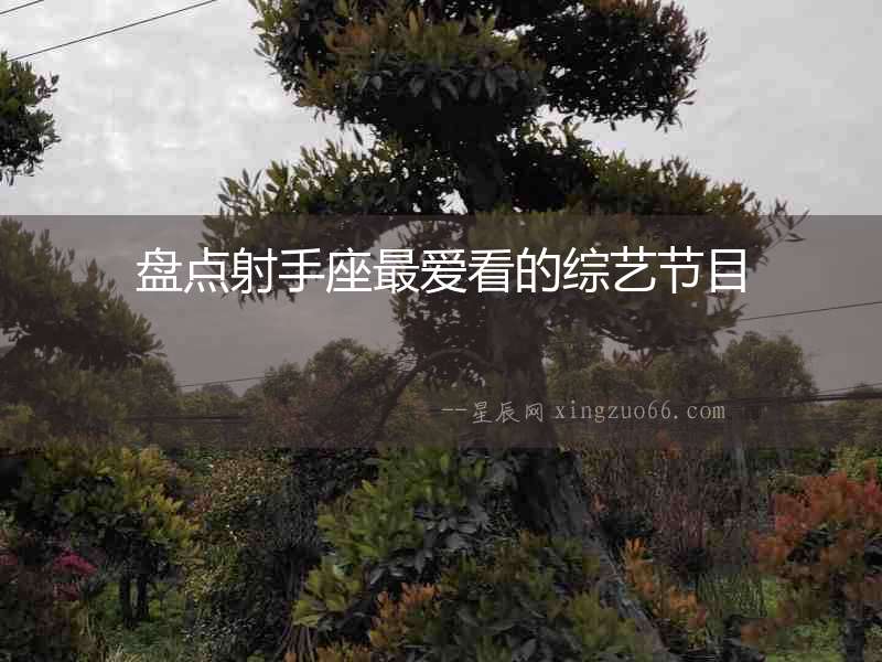 盤點射手座最愛看的綜藝節(jié)目