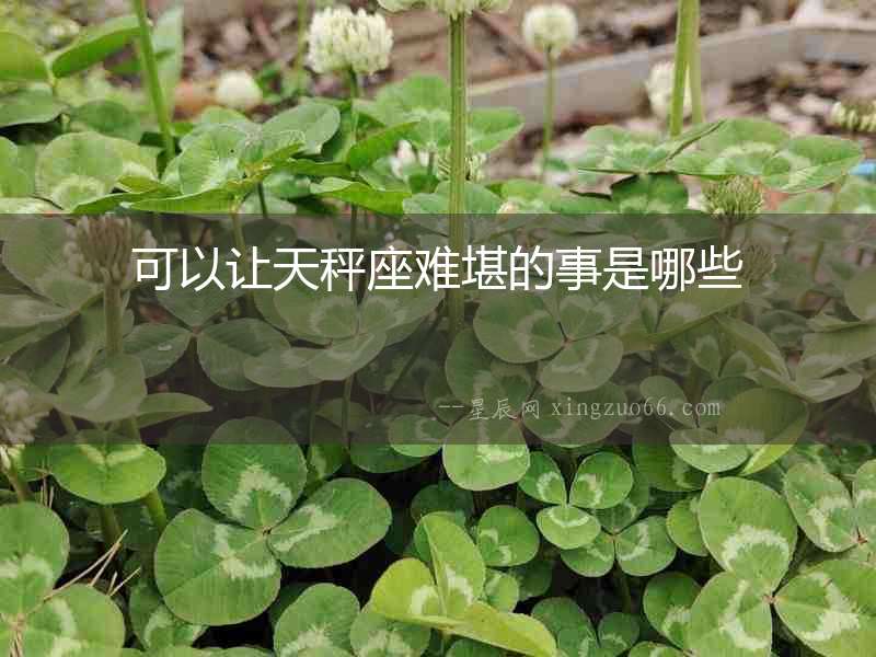 可以讓天秤座難堪的事是哪些