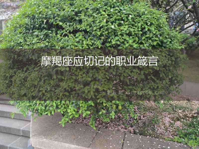 摩羯座應切記的職業(yè)箴言