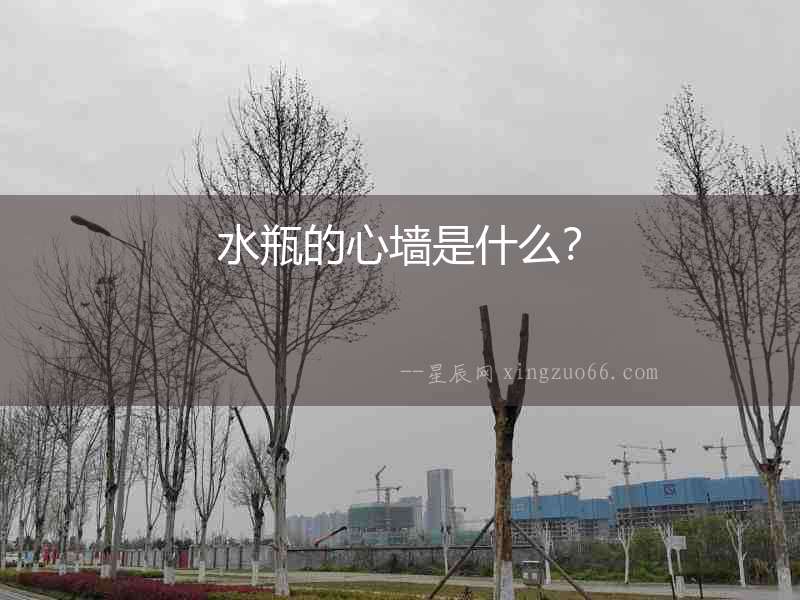 水瓶的心墻是什么？