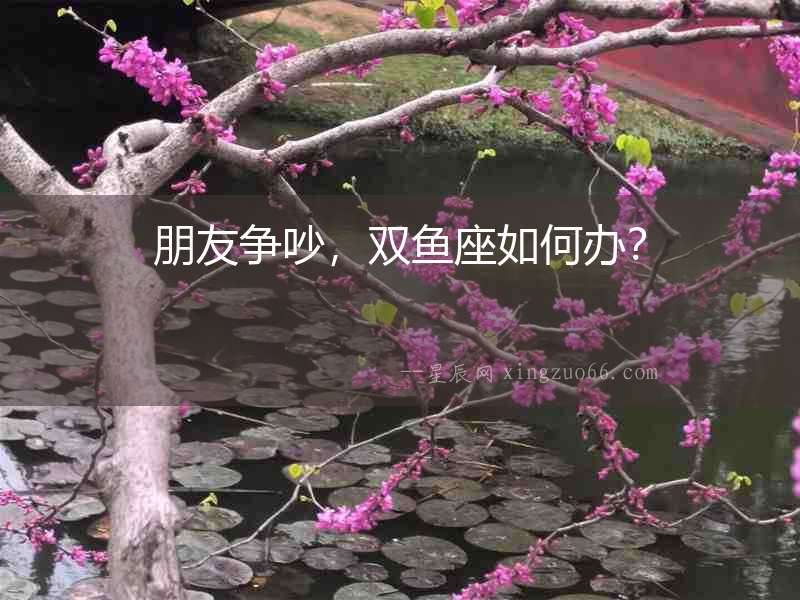 朋友爭吵，雙魚座如何辦？