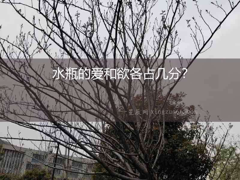 水瓶的愛(ài)和欲各占幾分？