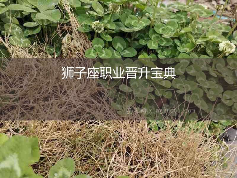 獅子座職業晉升寶典