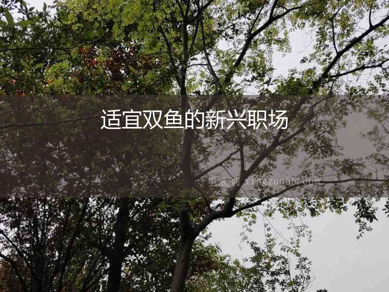 適宜雙魚的新興職場(chǎng)