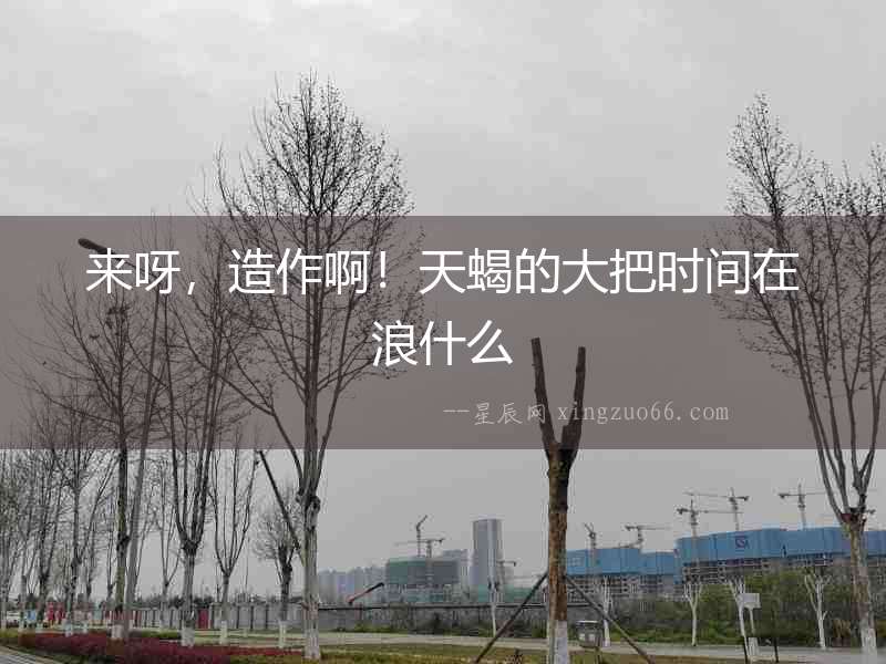 來呀，造作啊！天蝎的大把時間在浪什么