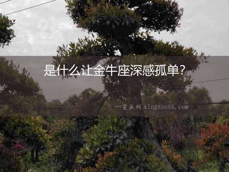 是什么讓金牛座深感孤單？