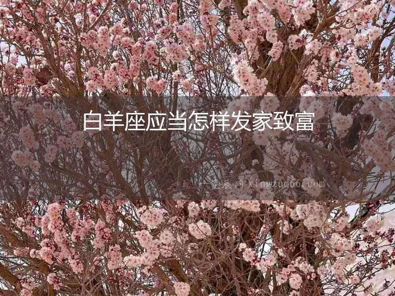 白羊座應當怎樣發(fā)家致富