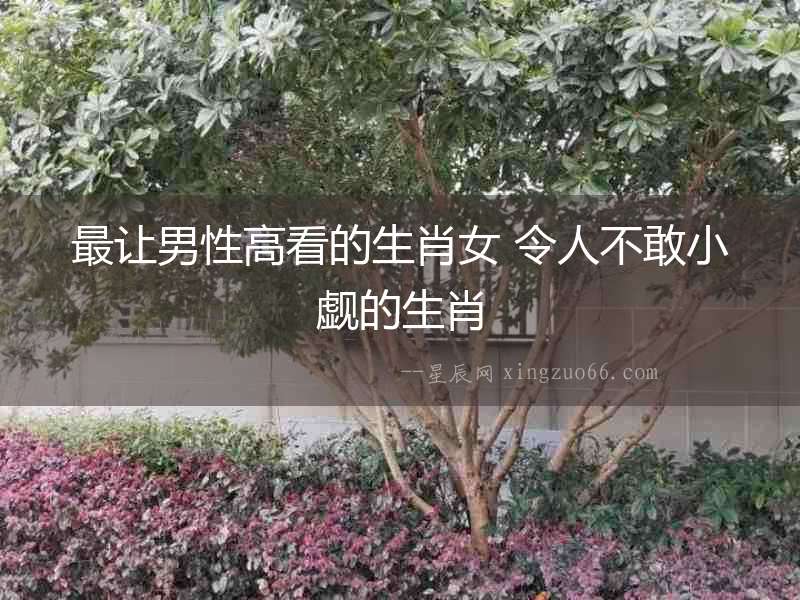 最讓男性高看的生肖女 令人不敢小覷的生肖