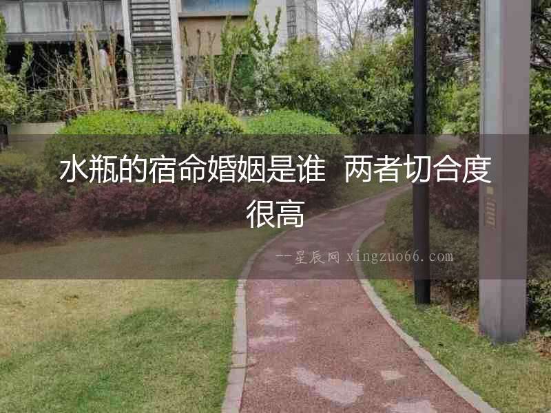 水瓶的宿命婚姻是誰  兩者切合度很高