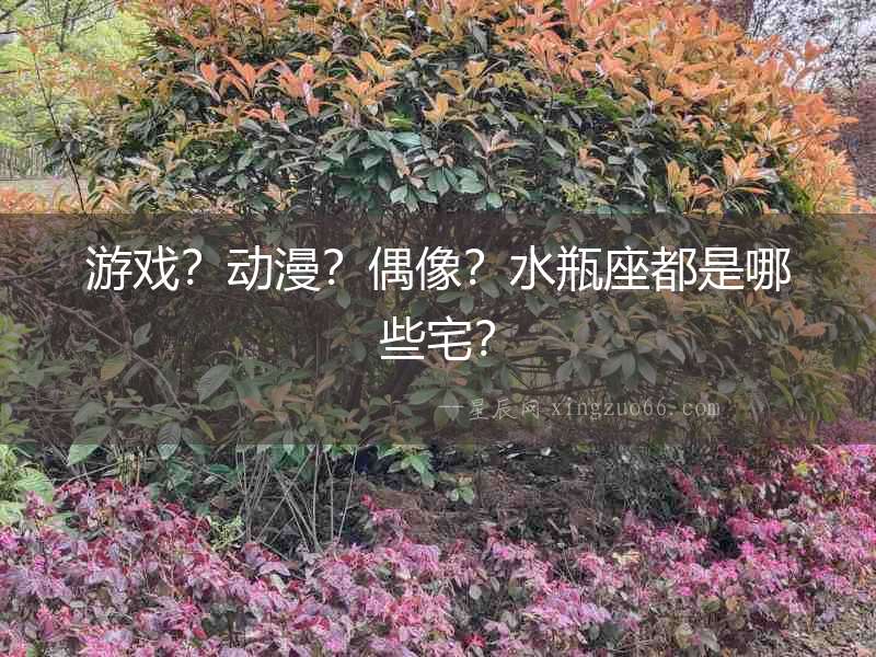 游戲？動漫？偶像？水瓶座都是哪些宅？