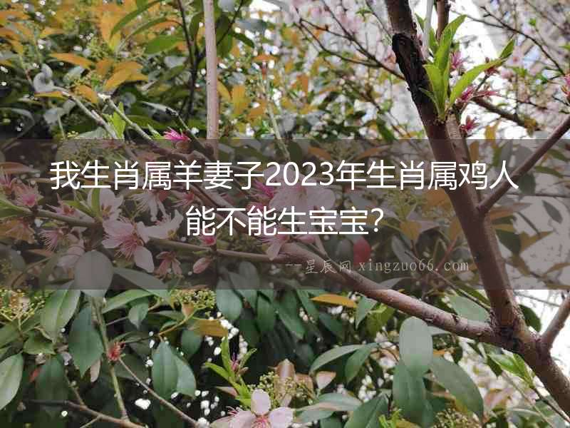 我生肖屬羊妻子2023年生肖屬雞人能不能生寶寶？
