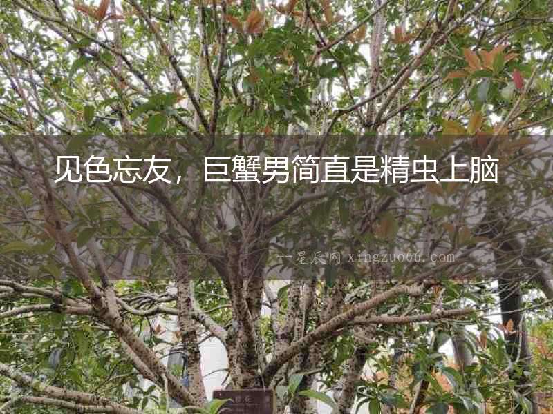 見色忘友，巨蟹男簡直是精蟲上腦