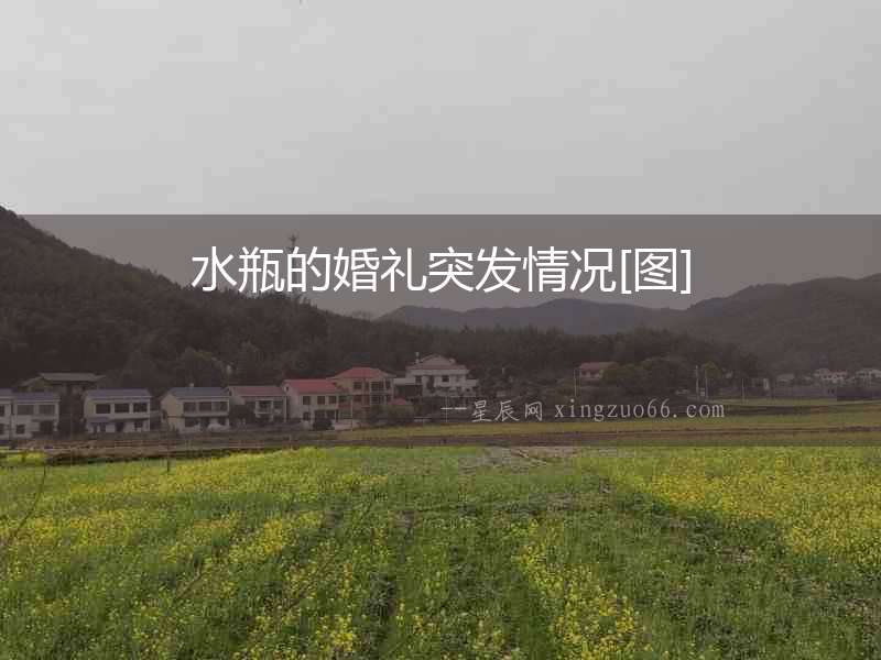 水瓶的婚禮突發(fā)情況[圖]