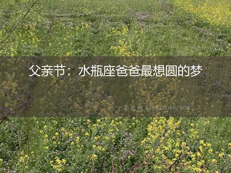 父親節：水瓶座爸爸最想圓的夢