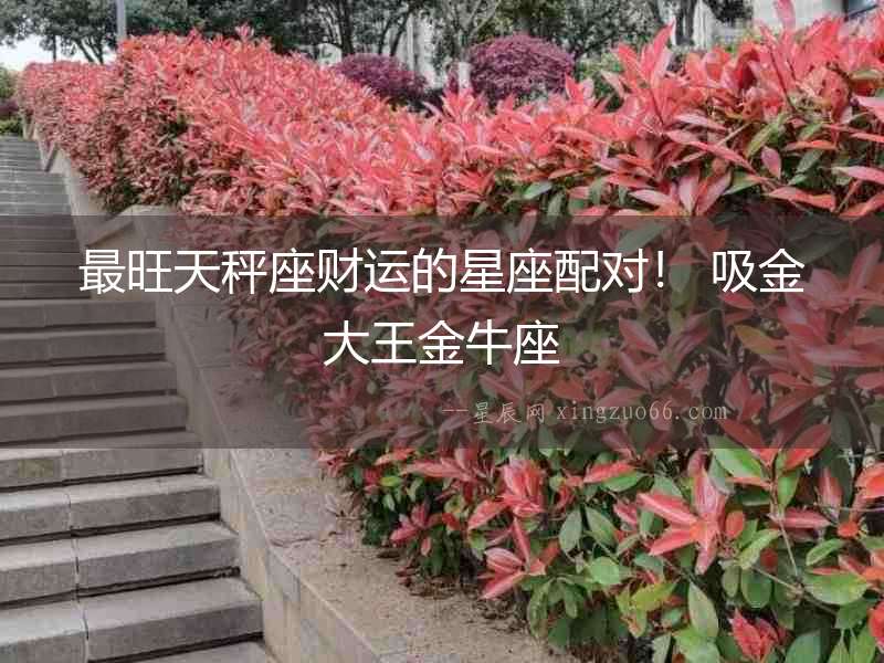 最旺天秤座財運的星座配對！ 吸金大王金牛座