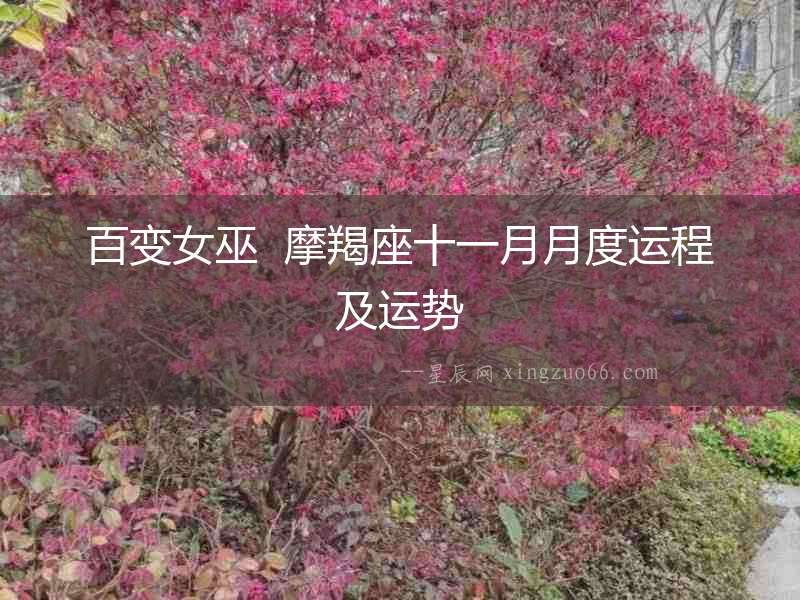 百變女巫  摩羯座十一月月度運(yùn)程及運(yùn)勢