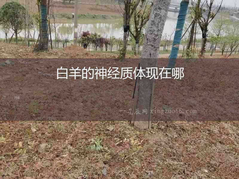 白羊的神經質體現在哪