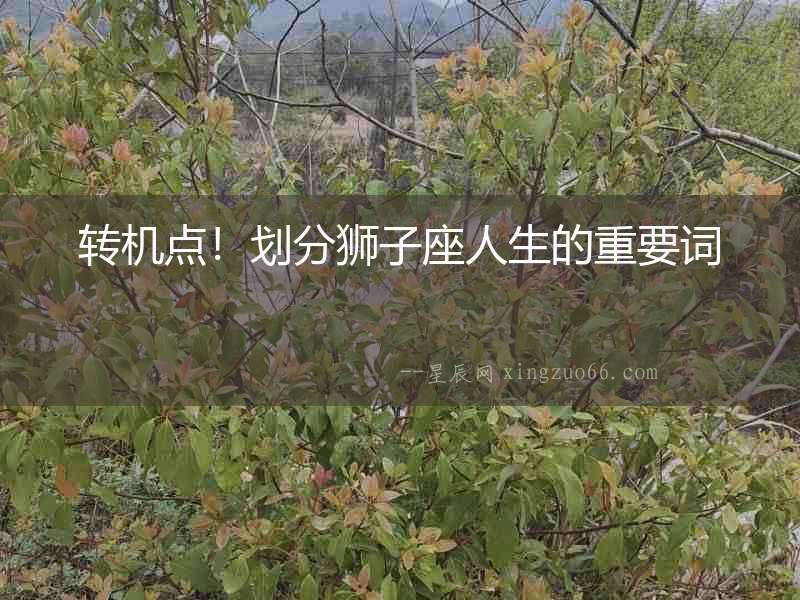 轉機點！劃分獅子座人生的重要詞