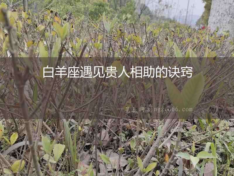 白羊座遇見貴人相助的訣竅