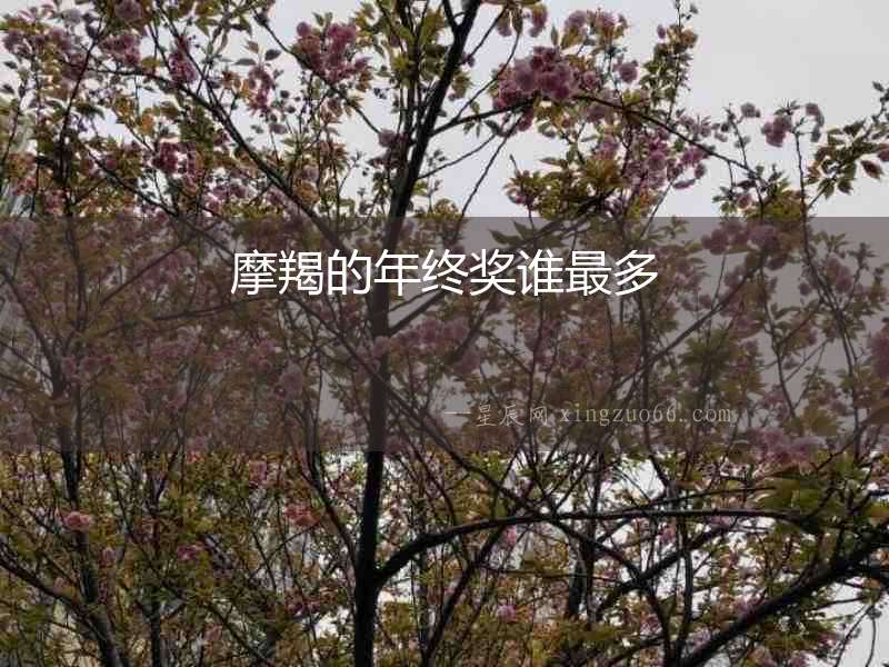 摩羯的年終獎(jiǎng)?wù)l最多