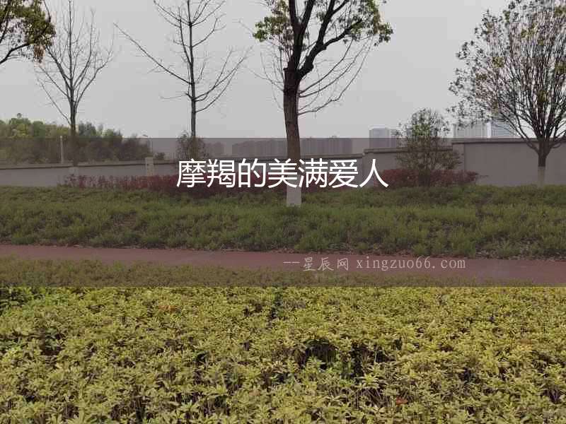 摩羯的美滿愛人