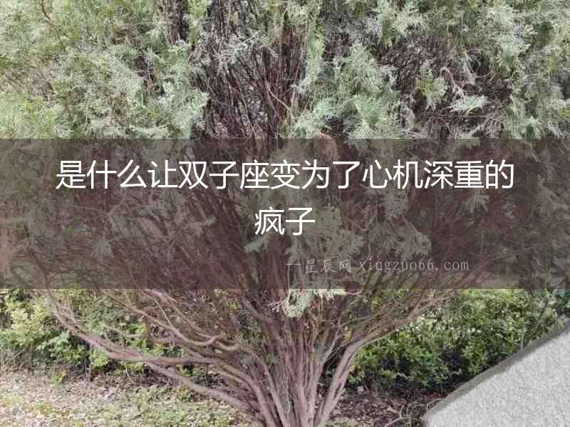 是什么讓雙子座變?yōu)榱诵臋C(jī)深重的瘋子