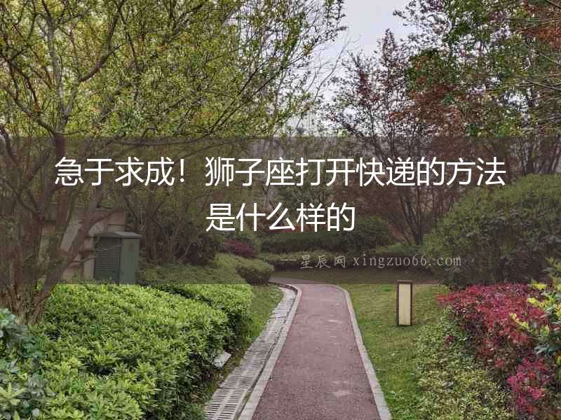 急于求成！獅子座打開快遞的方法是什么樣的