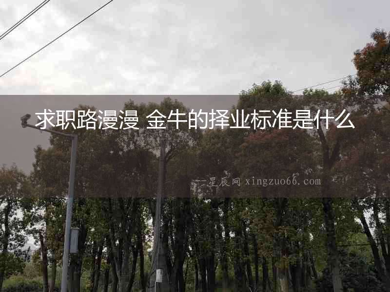 求職路漫漫 金牛的擇業標準是什么