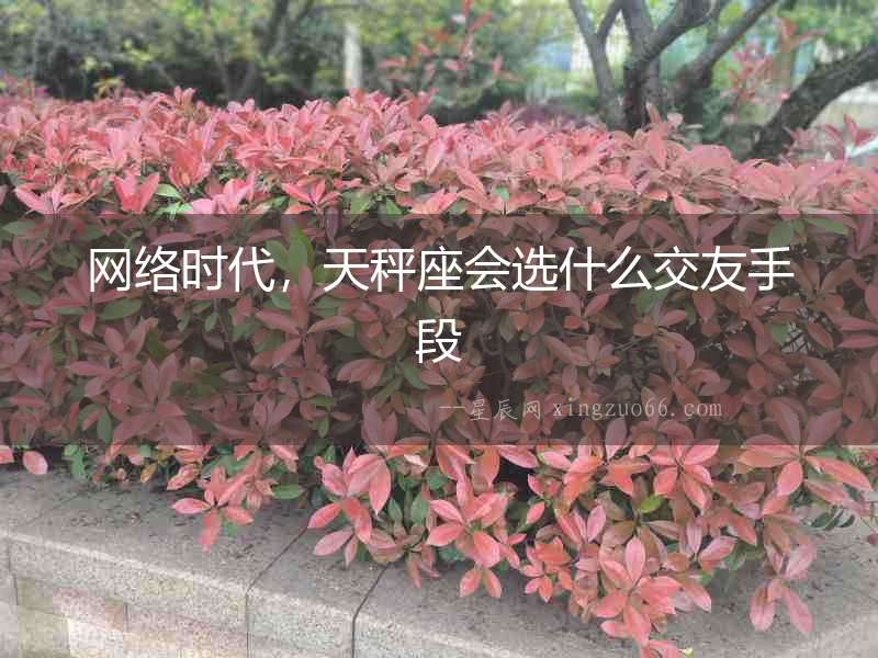 網絡時代，天秤座會選什么交友手段