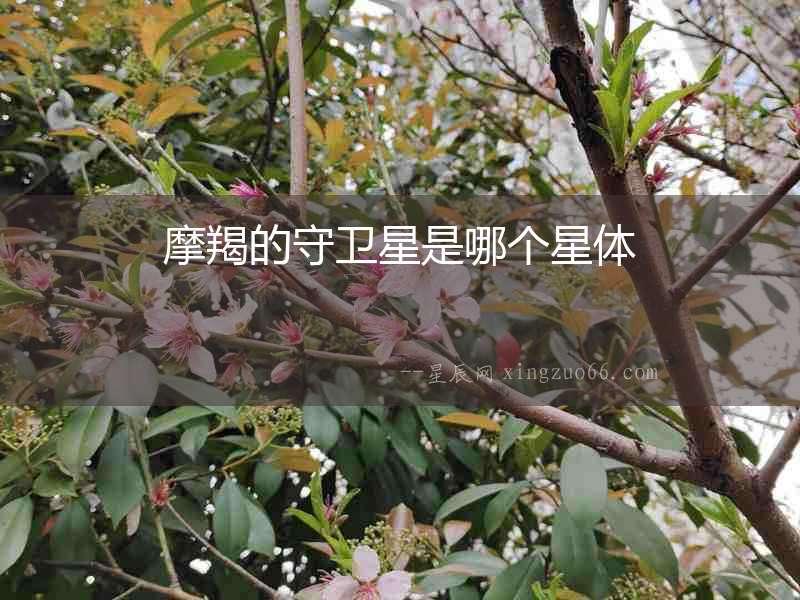 摩羯的守衛(wèi)星是哪個星體