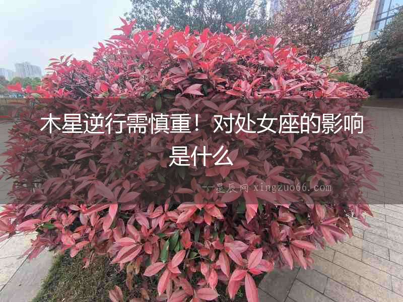 木星逆行需慎重！對處女座的影響是什么