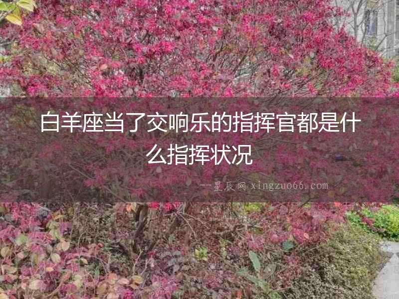 白羊座當(dāng)了交響樂的指揮官都是什么指揮狀況