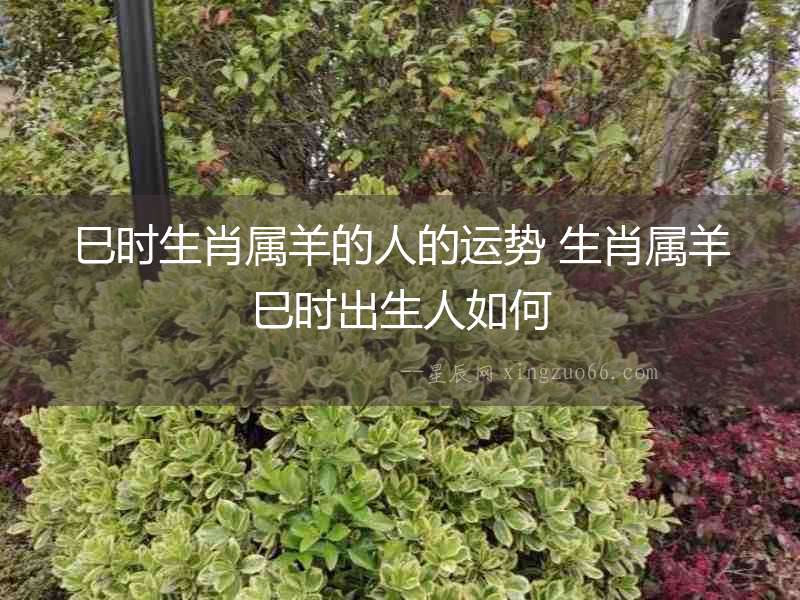 巳時生肖屬羊的人的運勢 生肖屬羊巳時出生人如何
