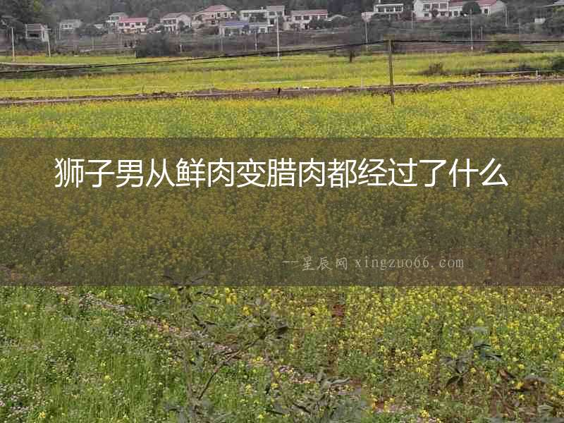 獅子男從鮮肉變臘肉都經過了什么