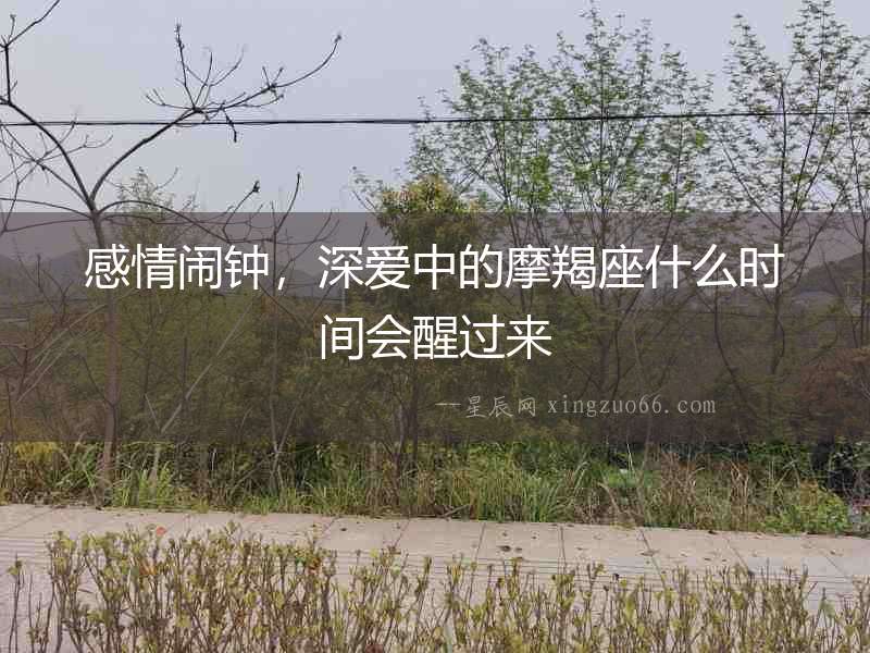 感情鬧鐘，深愛中的摩羯座什么時間會醒過來