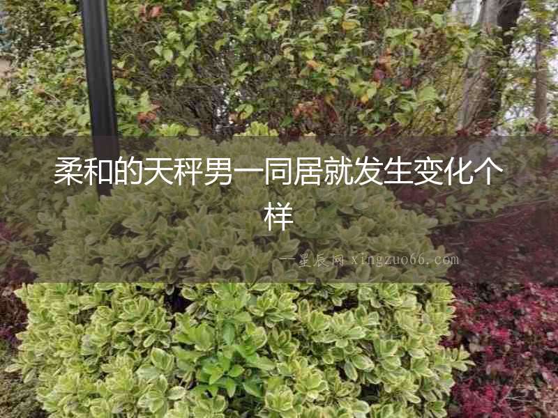 柔和的天秤男一同居就發生變化個樣