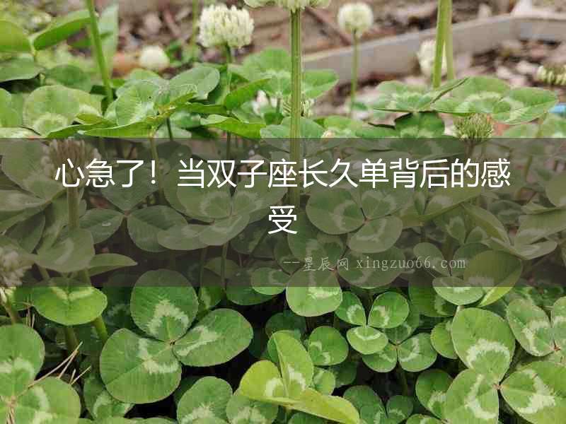 心急了！當(dāng)雙子座長久單背后的感受