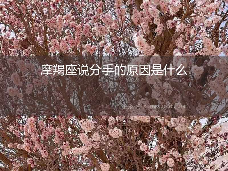摩羯座說(shuō)分手的原因是什么