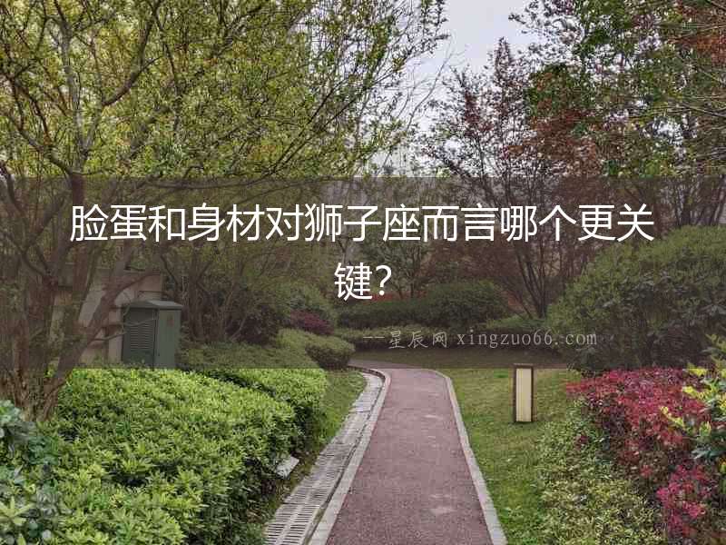 臉蛋和身材對獅子座而言哪個更關鍵？
