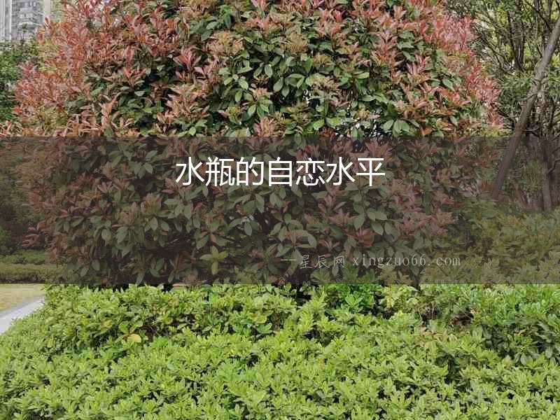水瓶的自戀水平