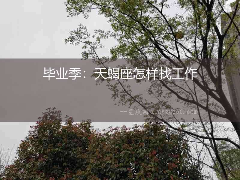 畢業(yè)季：天蝎座怎樣找工作